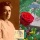 Rosa Luxemburg - "Oh, mio povero bufalo, amato fratello". La lettera a Sonja Liebknecht del 1917.